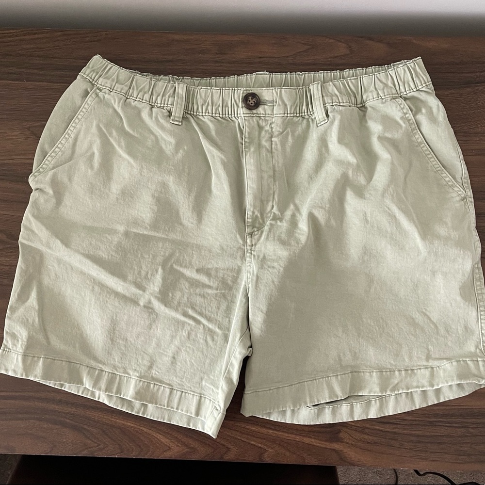 Chubbies Shorts 5.5 - Problem Solvers